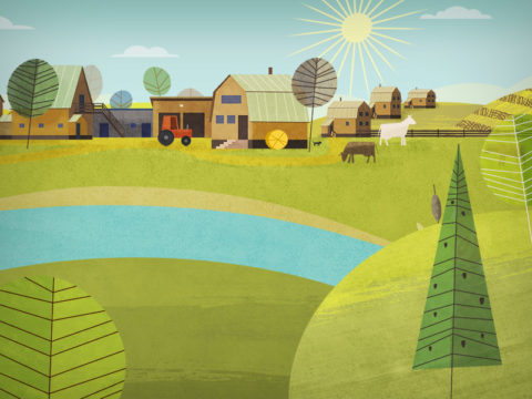 Illustration for the website