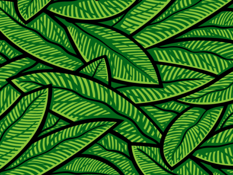 Pattern for paper packaging